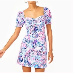 Lilly Pulitzer Keisha stretch dress sz 0. Fits a size 2-4.